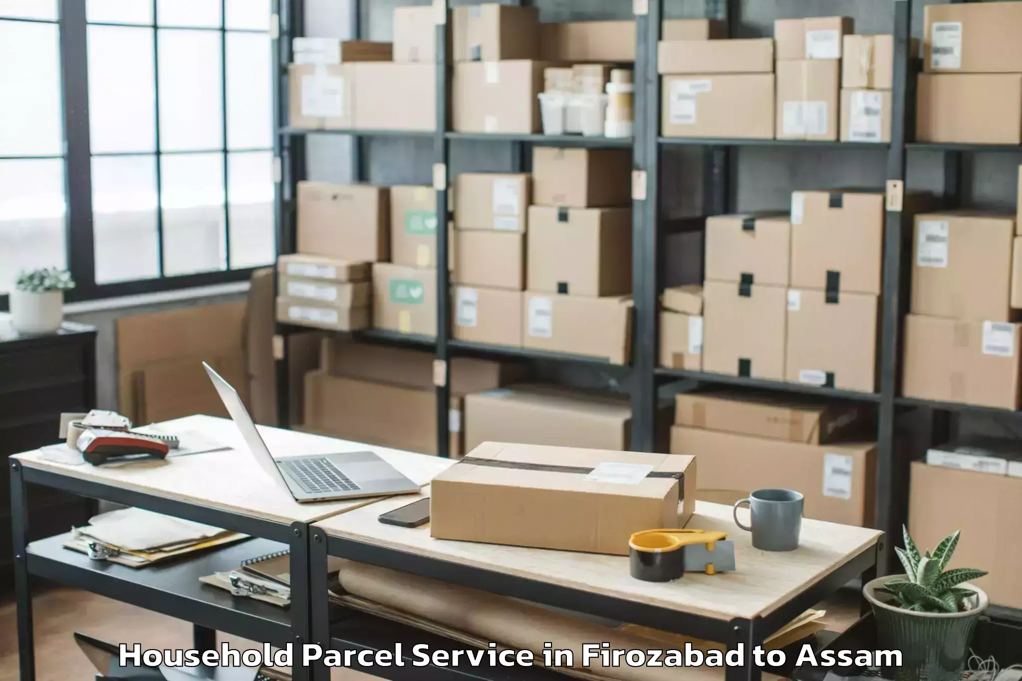 Hassle-Free Firozabad to Azara Household Parcel